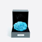 水瓶座 (01/20 - 02/18)