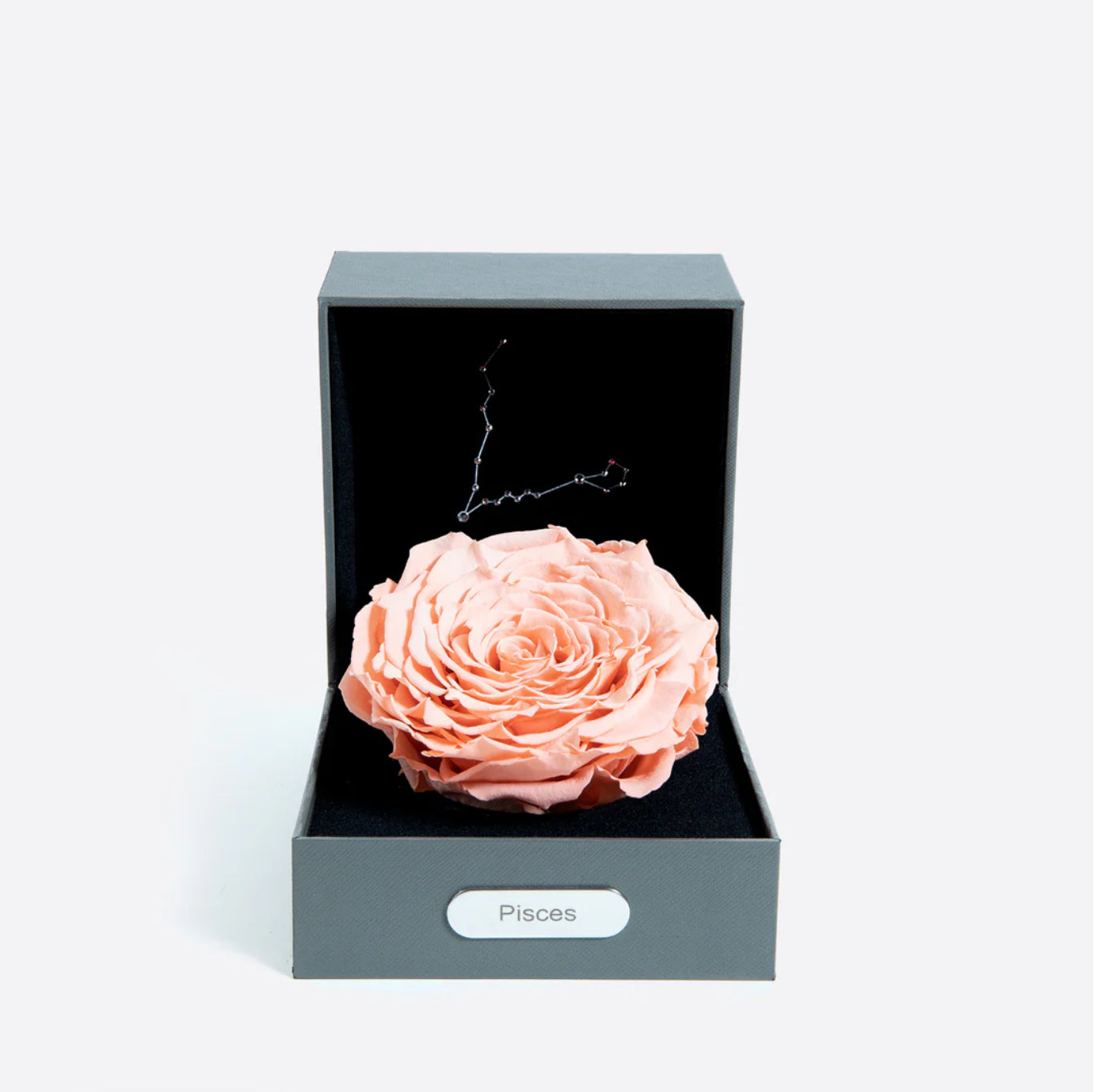 雙魚座（02/19 - 03/20）