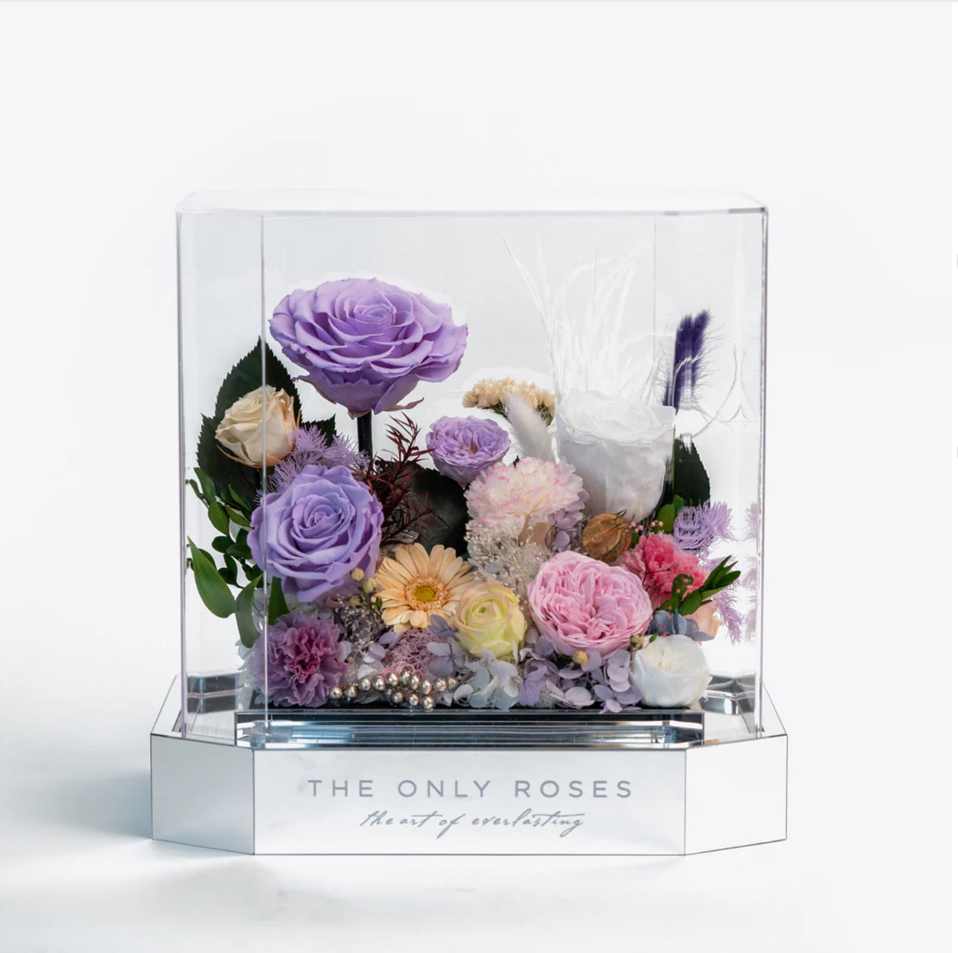 永恆的丁香花園