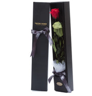 長莖單枝玫瑰花束