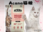 Acana 貓糧小包