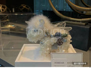 經典獨角獸（白色）