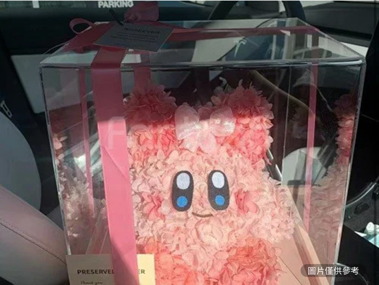 公主卡比永生花玩偶禮盒