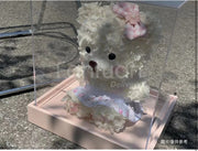 Teddybears 莉娜熊花盒（白粉色）