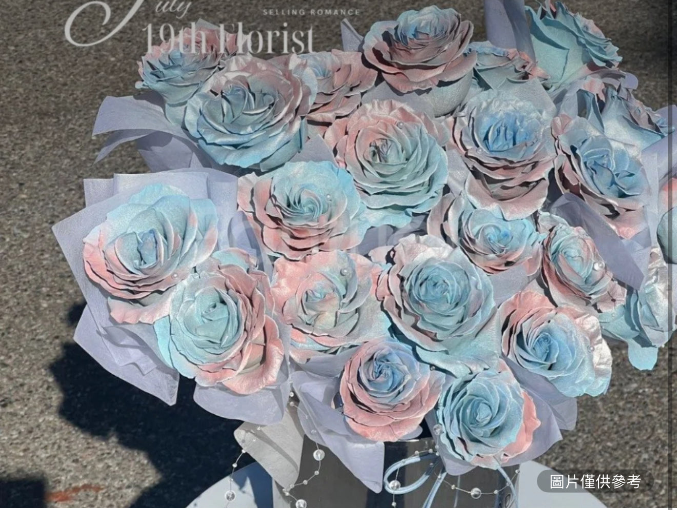 夢幻情緣19隻抱抱桶