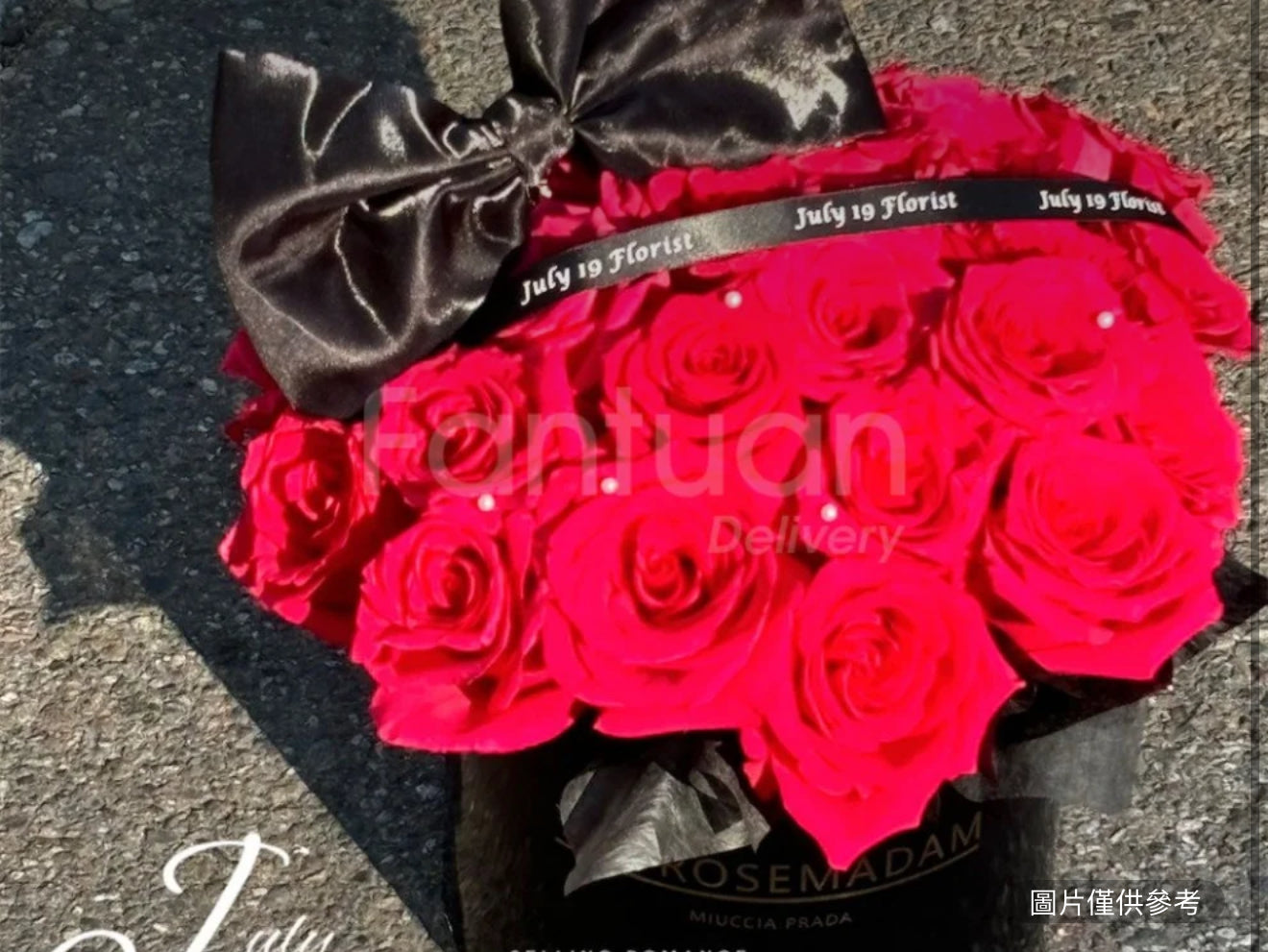 19隻弗洛伊德抱抱桶