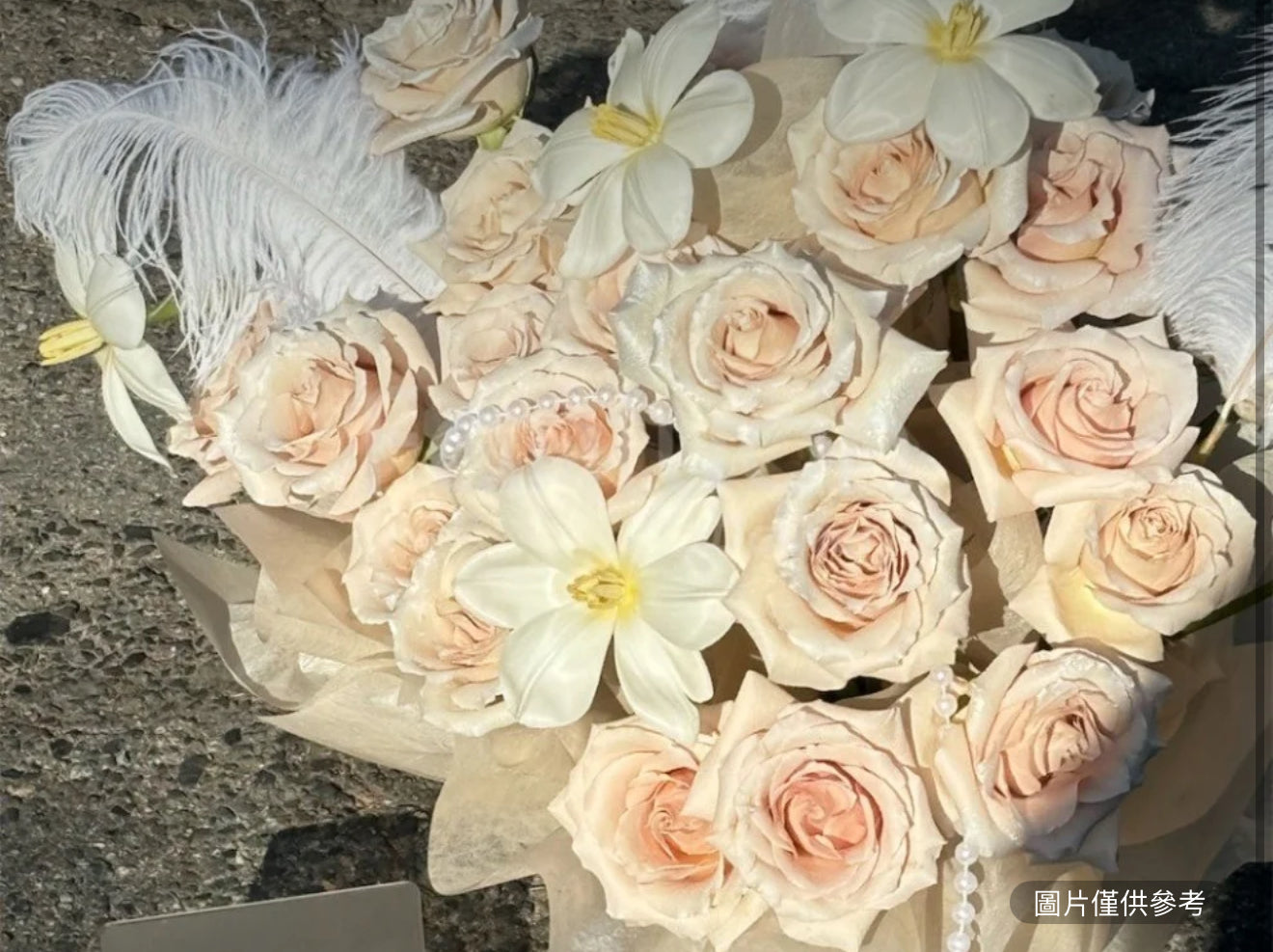 19隻流沙玫瑰抱抱桶