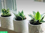 4英吋白色花紋陶瓷盆