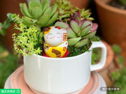 招財貓配活體多肉植物