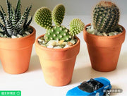 2.5英吋陶土盆栽仙人掌