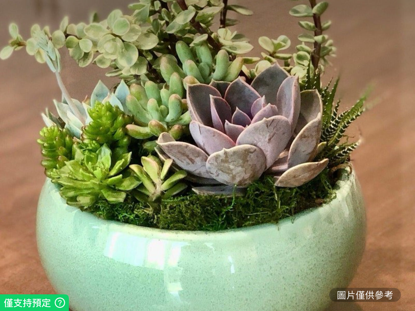 圓形8英吋陶瓷葡萄