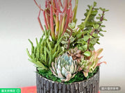 32英吋不鏽鋼盆