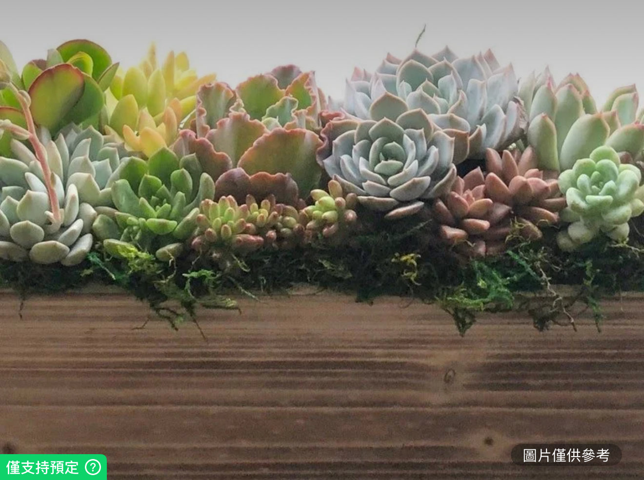 12英吋棕色木質花盆