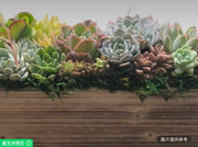 12英吋棕色木質花盆