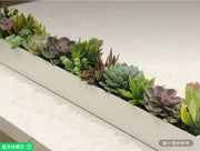 32英吋金屬多彩多肉組合