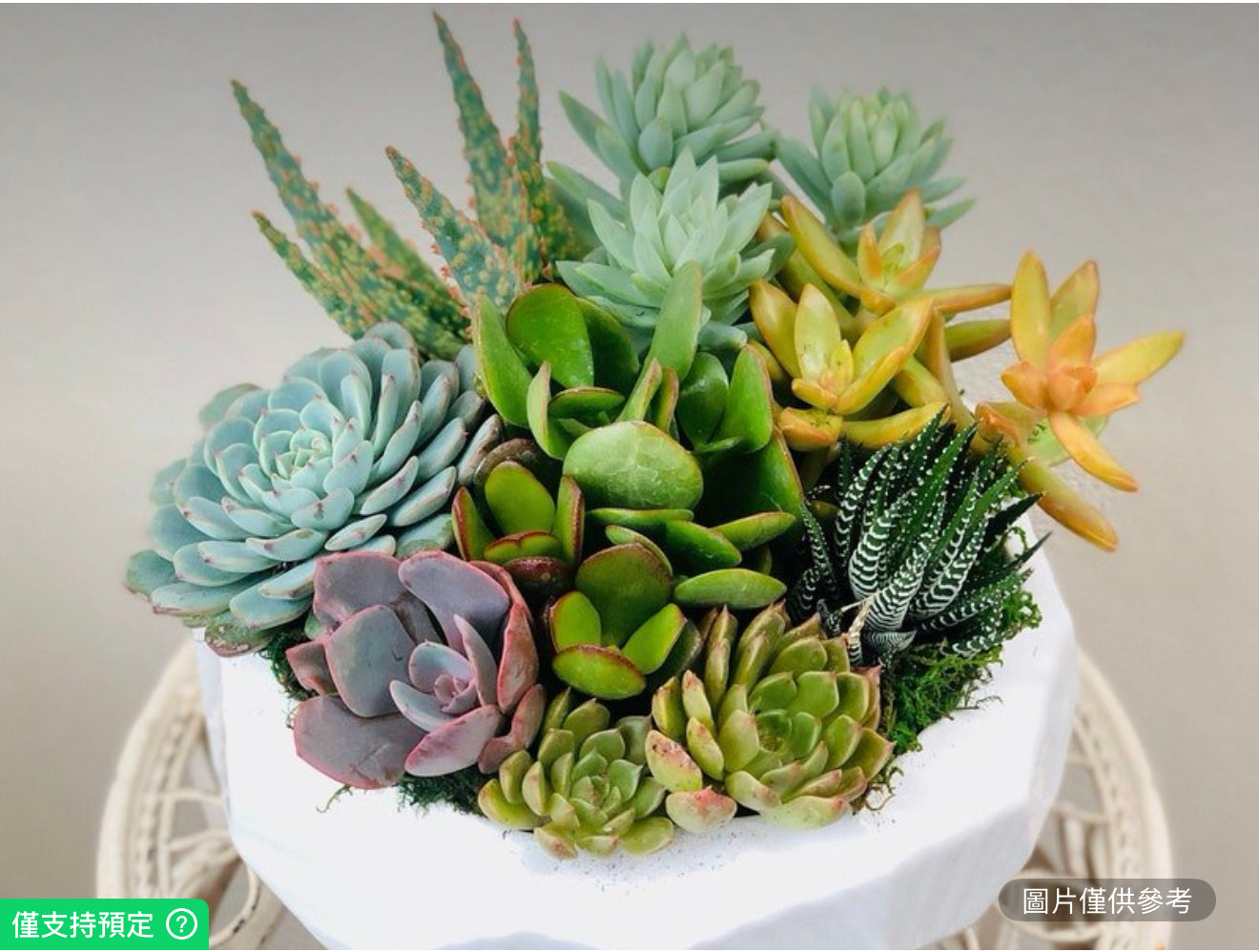 優雅的多面白色陶瓷花盆