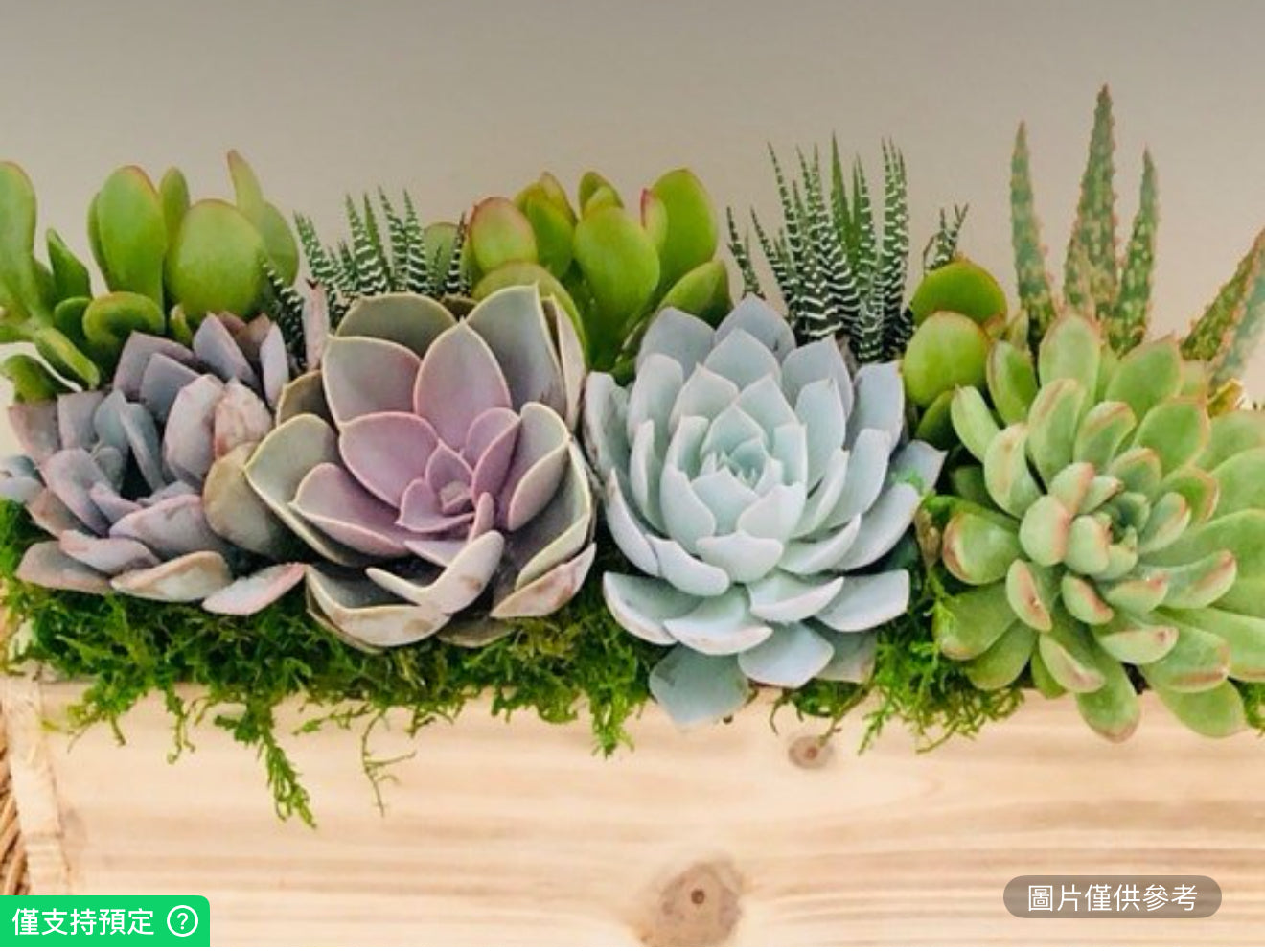 12英吋天然木盒花盆