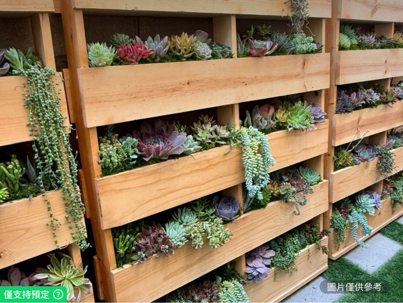 鮮活多肉植物牆飾 48英吋X40英吋木質托盤