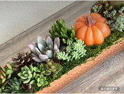 銅金屬盆多肉組合和南瓜蠟燭