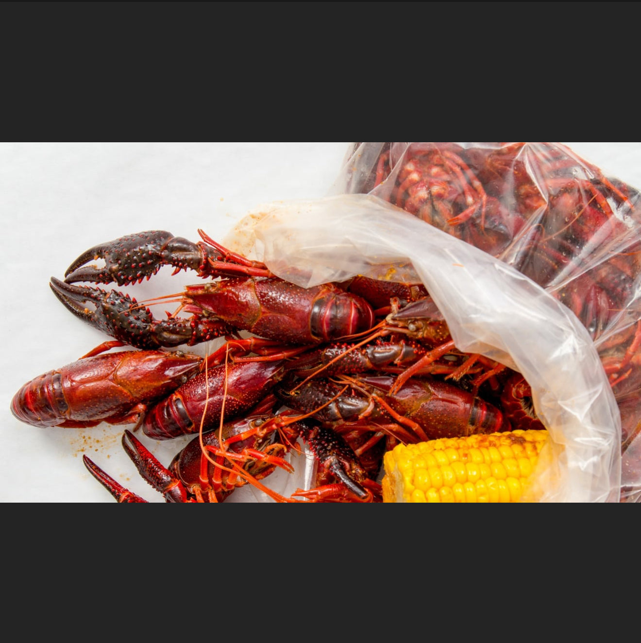 生鮮小龍蝦 1磅